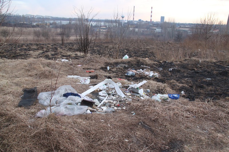 Będzin: Warpie Kamionka tonie w śmieciach