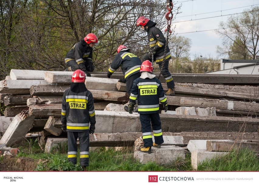 Częstochowa: Strażacy uratowali psa uwięzionego pod betonowymi słupami [ZDJĘCIA]