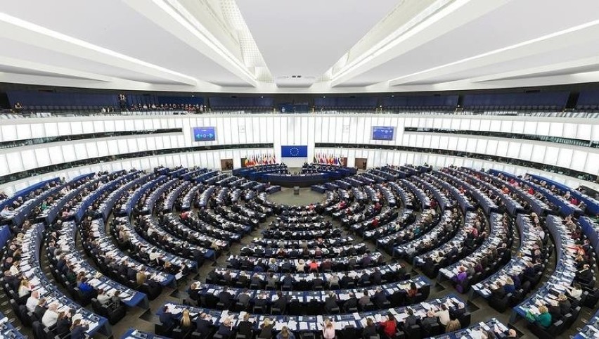 Eurowybory. Nasi kandydaci do Parlamentu Europejskiego
