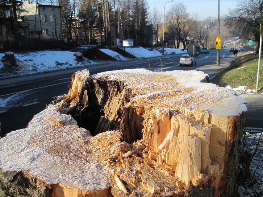 Al. Warszawska: Wycięto drzewa pod budowę nowego węzła drogowego