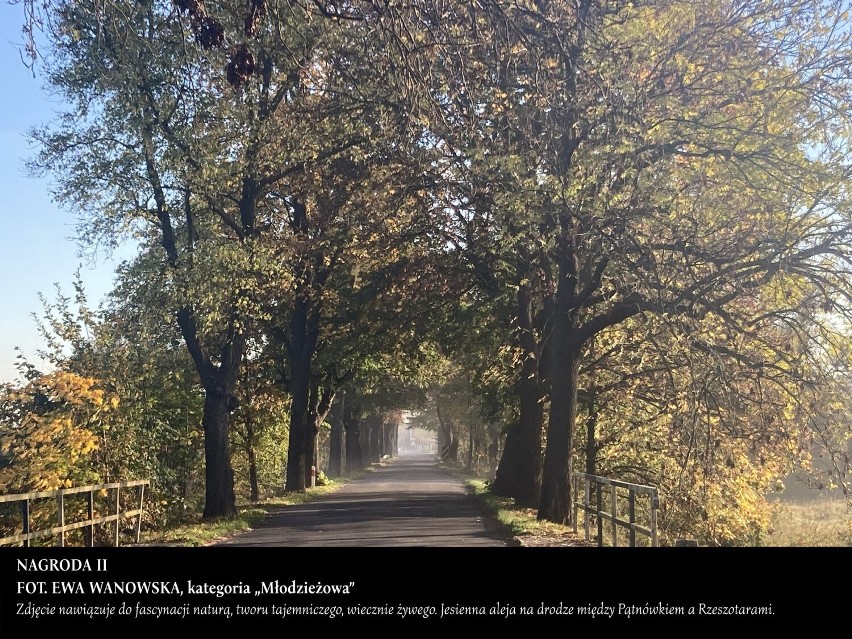 Zdjęcie nawiązuje do fascynacji naturą, tworu tajemniczego,...