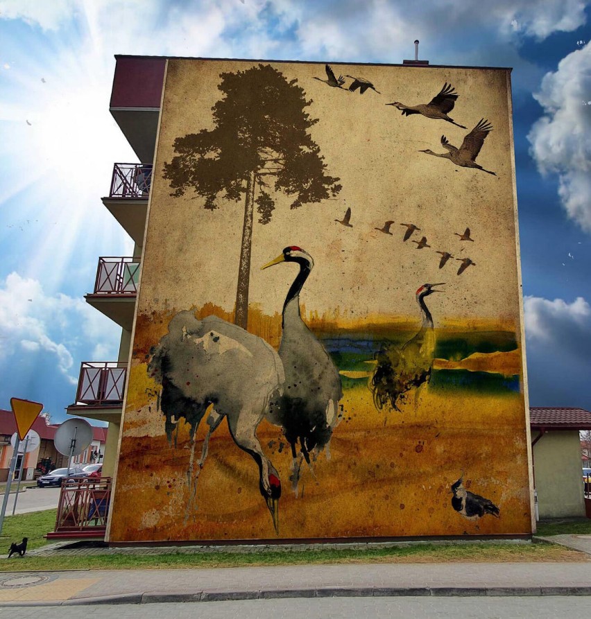 Przy ul. Śniadeckiego powstanie mural. Wybiorą go mieszkańcy [zdjęcia]