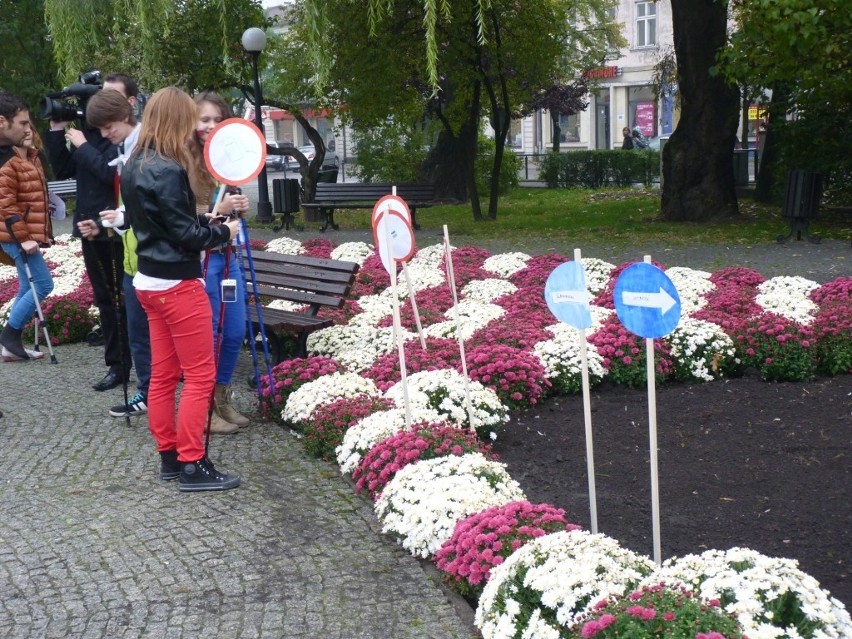 Nordic Walkathon, czyli maraton nordic walking w poszukiwaniu klucza tożsamości [ZDJĘCIA]