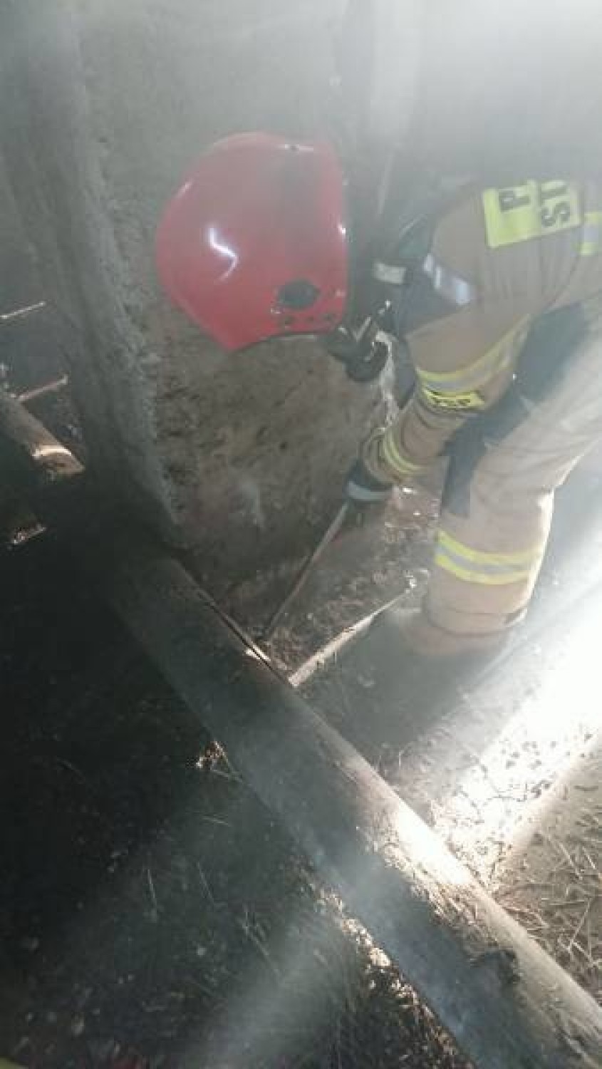 Strażacy trzy godziny walczyli z pożarem sadzy w kominie w Świniarsku