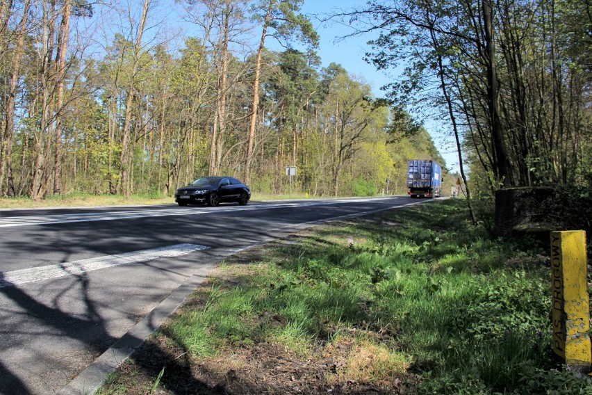GDDKiA planuje remont drogi krajowej od Rozbitka do Sterek -...
