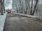 Lodowy paraliż w powiecie bytowskim. Połamane drzewa, ciężarówki stają w poprzek drogi