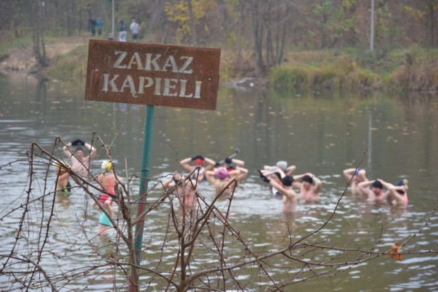 Jak w każdą niedzielę, Morsy Zielonogórskie Spoko Tato spotkały się wczoraj o godz. 13.00 na Dzikiej Ochli w Zielonej Górze, by razem zażyć zdrowej i orzeźwiającej kąpieli. Wspólne wejście do wody poprzedziła oczywiście odpowiednia rozgrzewka podczas której zawsze witane są nowe morsy. W wodzie zanurzyło się kilkadziesiąt osób. I nikt nie narzekał bardzo niską temperaturę wody. Wręcz przeciwnie. Humory wszystkim dopisywały, a co niektórzy nie mogą się już doczekać, kiedy na stawie pojawi się lód. A najbardziej chłód odczuli ci, którzy z podziwem i często niedowierzaniem z brzegu obserwowali kąpiel morsów. 

Zobacz też: Zimna woda im niestraszna. Morsy ze Skwierzyny rozpoczęły sezon
