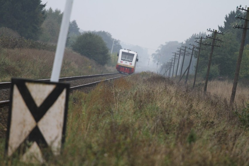 Pociąg przejechał konia w Złotowie