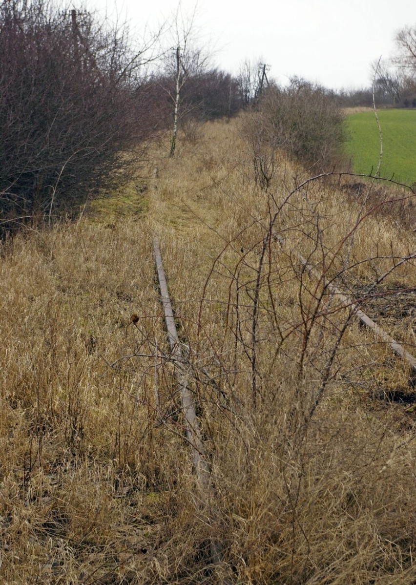 Nieczynna linia kolejowa nr 363 Rokietnica - Międzychód -...