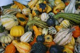 Wysiew nasion warzyw wrażliwych na mróz, czyli zasady uprawy warzyw bobowatych i dyniowatych