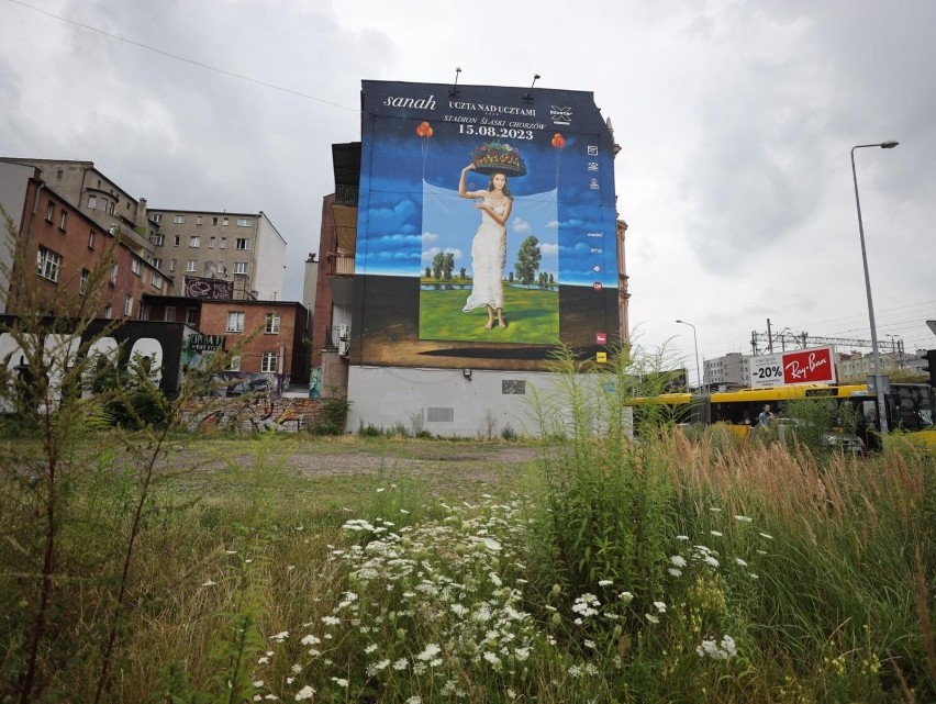 Mural sanah w centrum Katowic.Można go oglądac tylko do...