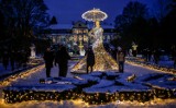 Iluminacje w Parku Oliwskim działają do 31 stycznia [ZDJĘCIA, WIDEO]