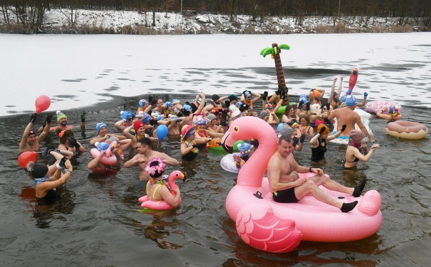 EKM Lubuskie Morsy na plaży w Zielonej Górze Ochli. Dzika...