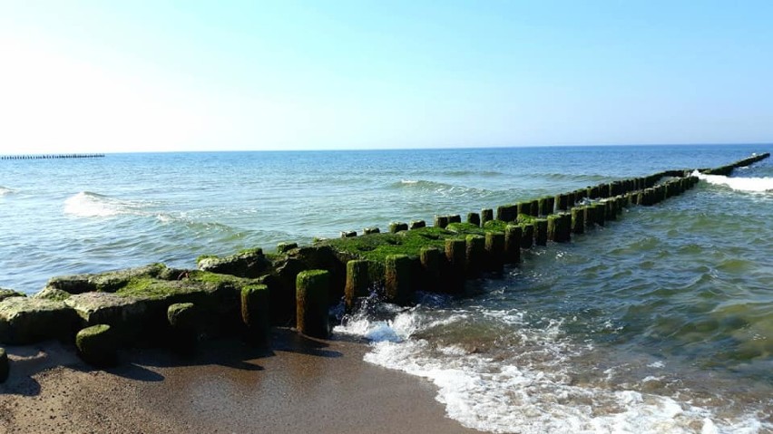 Wicie zaprasza turystów na spacery po plaży [ZDJĘCIA]