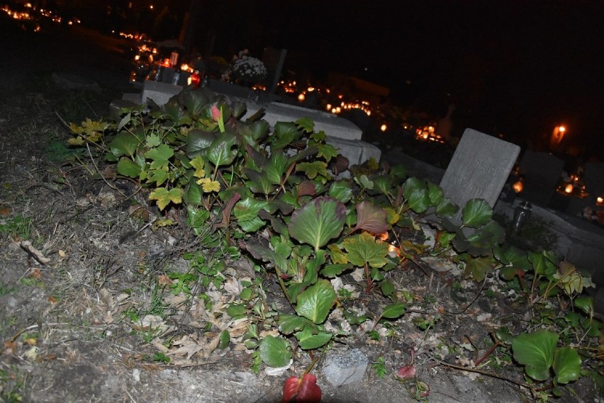 Wrzesińskie cmentarze nocą wyglądają magicznie [FOTO]