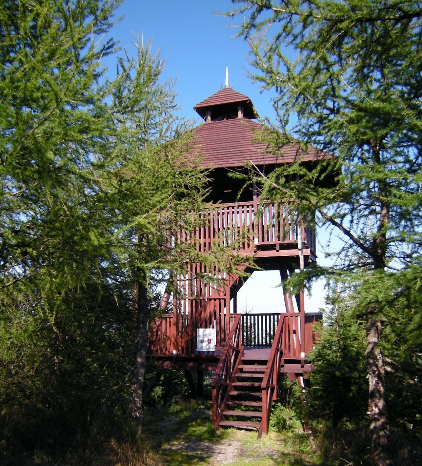Drewnianą wieżę widokową otwarto w sierpniu 2009 r. Obiekt...