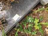 Gdańsk: Wizytówkowy marketing zaśmiecający cmentarz Srebrzysko. Firma kamieniarska rozrzuca materiały reklamowe przy grobach