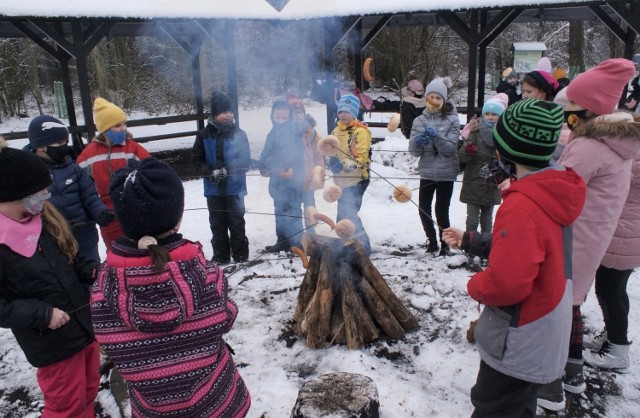 Inowrocławiu zajęcia półkolonijne podczas trwających obecnie zimowych ferii zorganizowała tylko Szkoła Podstawowa nr 4. W programie m. in. wyjazdy do lasu połączone z ogniskiem, edukacją przyrodniczą i zabawami na śniegu