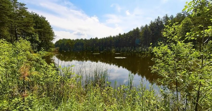 Niezwykłe atrakcje Regionu Białej Przemszy