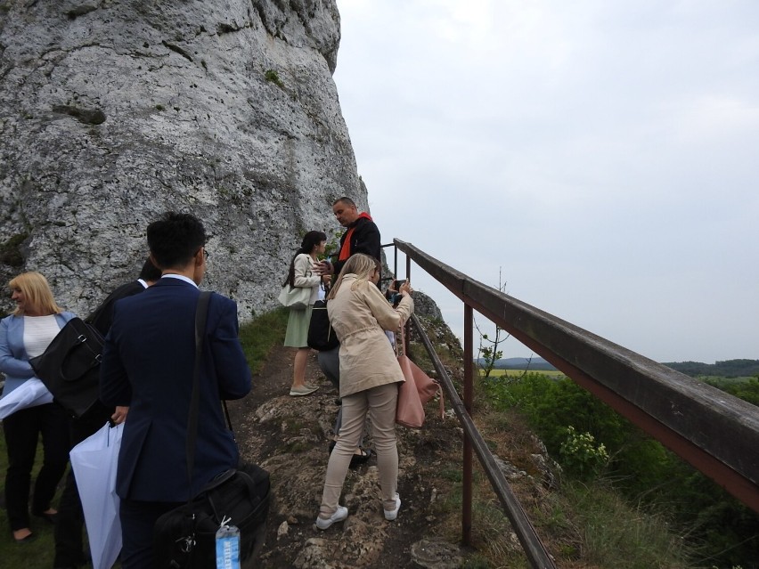 Delegatura Japonii odwiedziła gminę Ogrodzieniec.