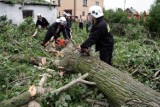 Burze nad Roztoczem. Pozrywane dachy, powalone drzewa