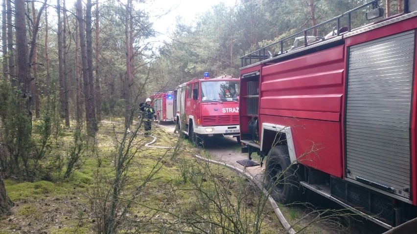 We wtorkowe popołudnie, w Osieku nad Wisłą gm. Obrowo,...