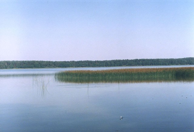 Źródło: http://commons.wikimedia.org/wiki/File:Jezioro_Mokre_%28warminsko-mazurskie%29-N.jpg