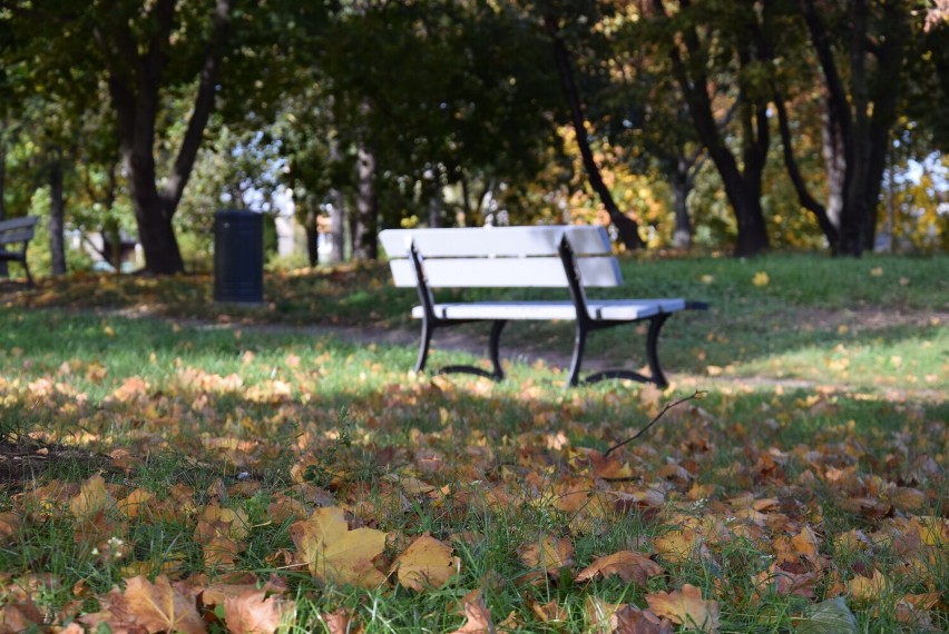 Piękna złota jesień zawitała do Parku Przyjaźni w Kaliszu
