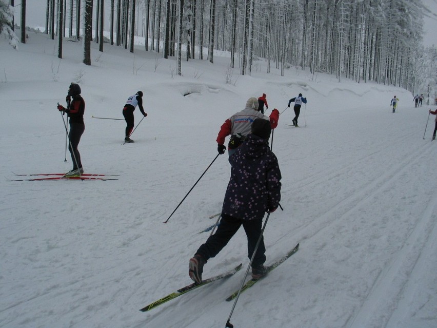 Ferie Żory 2013: MOSiR: Narciarstwo biegowe, łyżwy, szczypiorniak, półkolonie. Ferie są super! FOTO