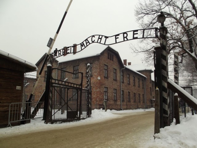 Jak co roku, 27 stycznia ocaleni z KL Auschwitz-Birkenau spotykają się w Oświęcimiu, oddając hołd ofiarom nazistowskchi oboz&oacute;w koncentracyjnych. Fot. Piotr Drabik