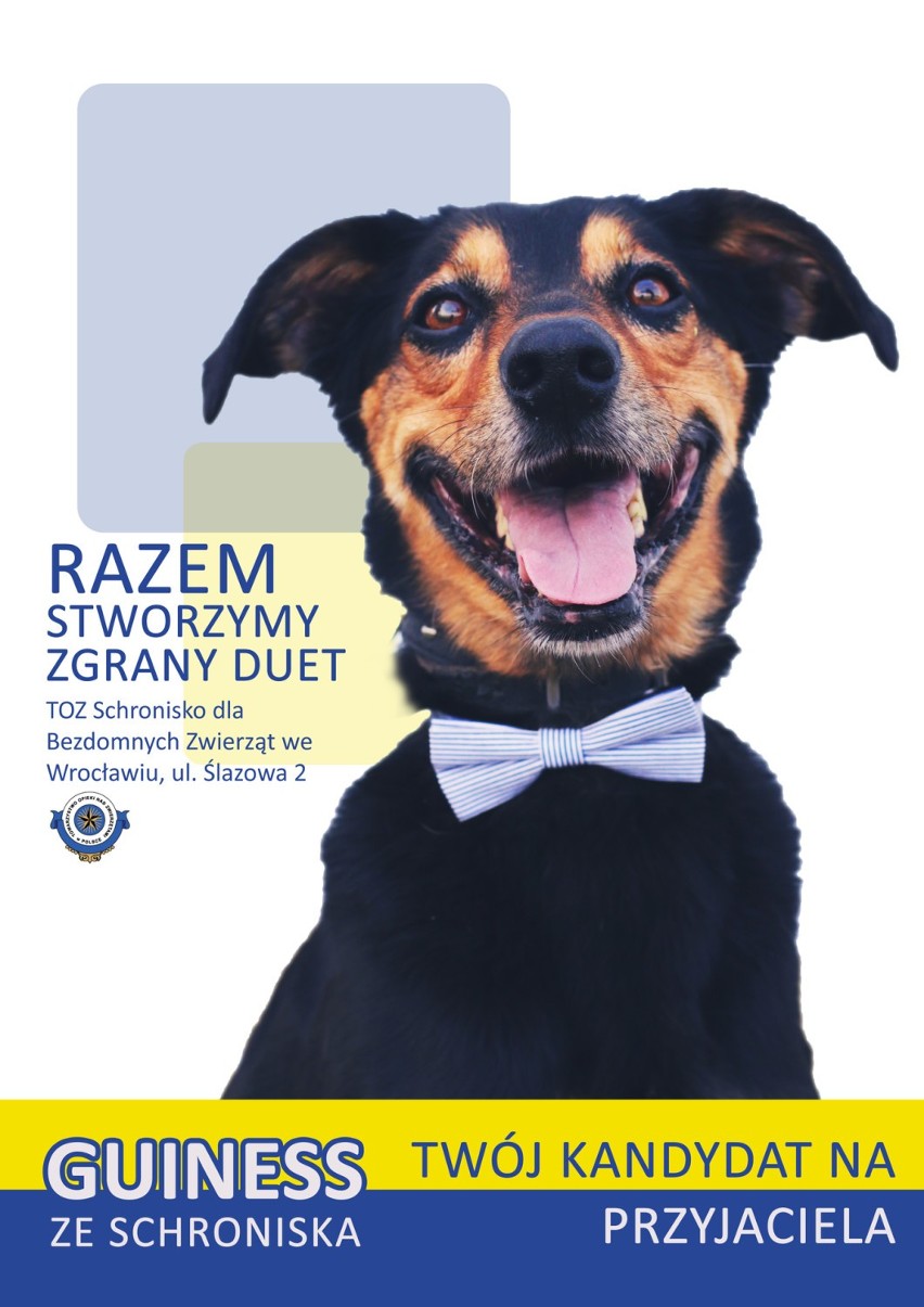 Hasło wyborcze: "Razem stworzymy zgrany duet"