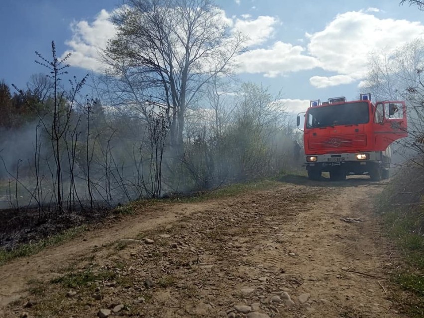 Z kolei druhowie z jednostek OSP w gminie Tarnowiec od...