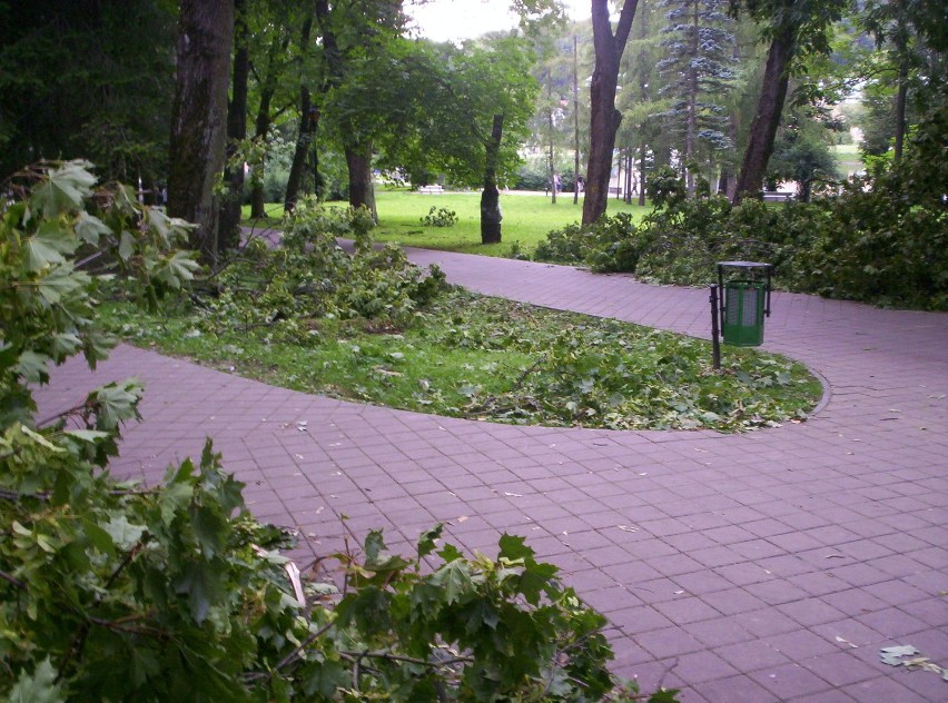 Połamane drzewa w nałęczowskim parku