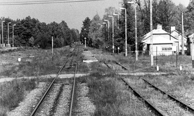 XVI Bieg Sobiborski odbędzie się 11 października