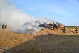 Pożary w Borczu - strażacy gasili stertę obornika na ściernisku AKTUALIZACJA