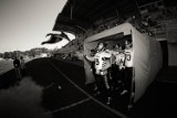 Seahawks Gdynia zmiażdżyli Zagłębie Steelers Interpromex [zdjęcia, wideo]