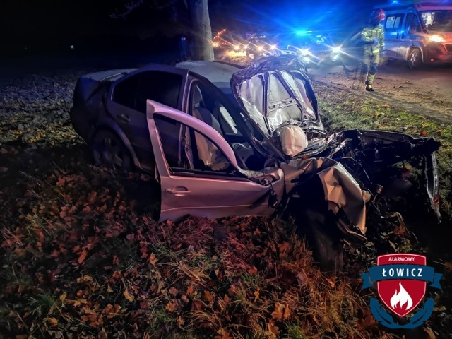 Nietrzeźwy kierowca pod Łowiczem uderzył autem w drzewo