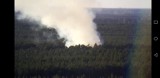 Gmina Wolsztyn: Pożar lasu w okolicach Świętna [FOTO]