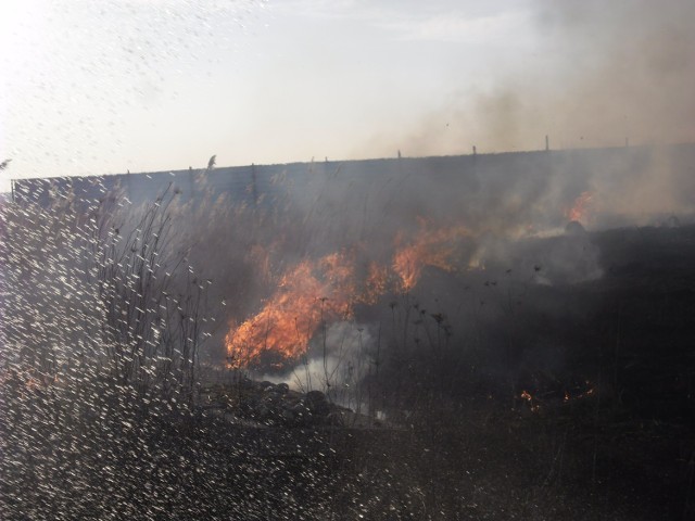 Straż Pożarna w Jarocinie przeciwna wypalaniu traw