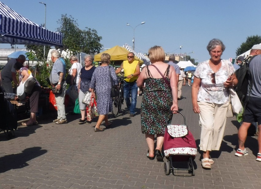 Słoneczna pogoda przyciągnęła w czwartek 21 lipca na...