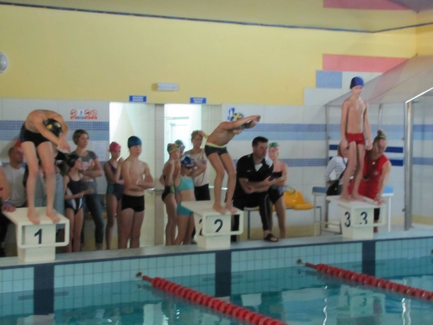 Otwarte Mistrzostwa Gminy Stegna w Pływaniu