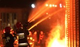 Straż pożarna Dąbrowa Górnicza: pożary, zaskroniec w domu i piorun