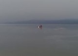Przymarznięty łabędź nad jeziorem Żarnowieckim