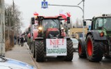 Wielki protest rolników w Łęczycy. Ponad 260 ciągników wyjechało na ulice! ZDJĘCIA