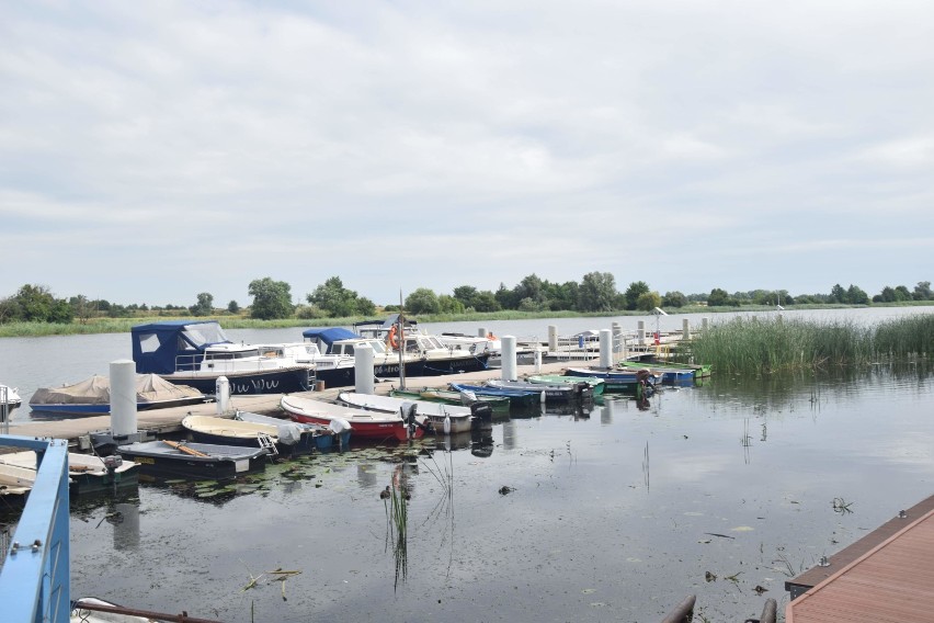 Malbork. Przystań żeglarska w parku rozbudowana i lada moment będzie w pełni wykorzystywana [ZDJĘCIA]