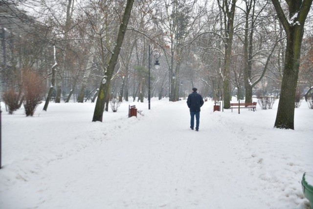 W wolnym czasie warto wybrać się na spacer. Radom wspaniale wygląda zimą, szczególnie pięknie prezentują się parki. 

Na następnych slajdach zobacz zdjęcia zimy w Radomiu.
Używaj gestów lub strzałek.