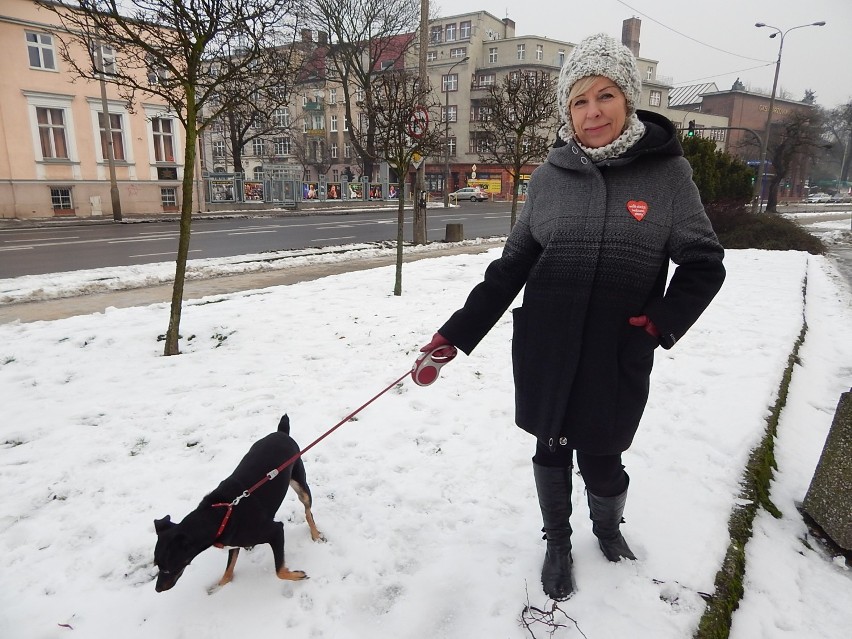 WOŚP 2016 w Gorzowie.