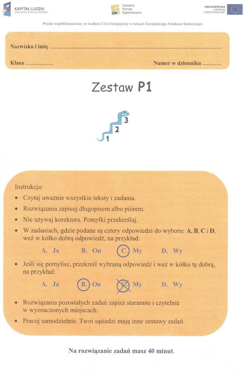 Język polski - zestaw I, strona 1