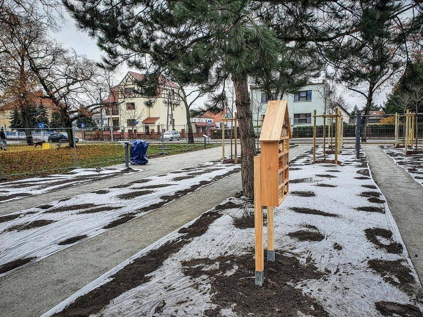 Wodna ścieżka edukacyjna na Lipowej w Lesznie już prawie gotowa