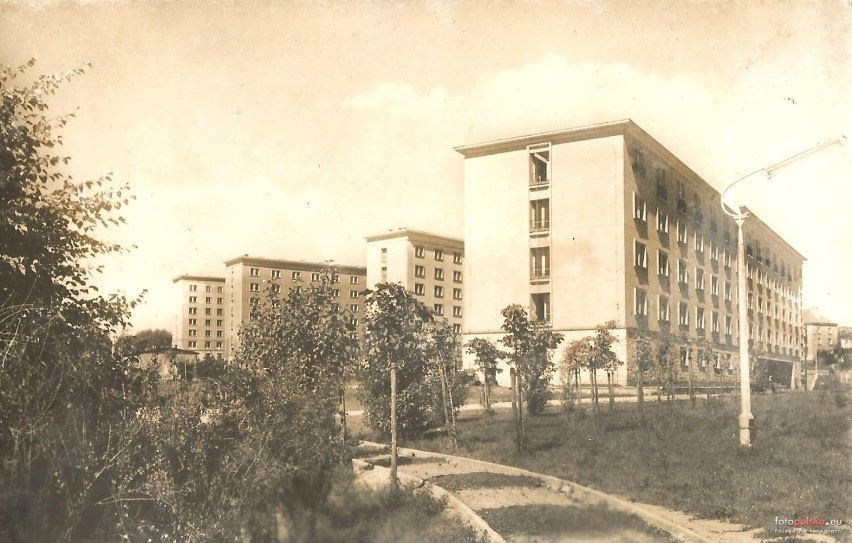 Lata 1959-1963, Domy Akademickie Uniwersytetu Marii...